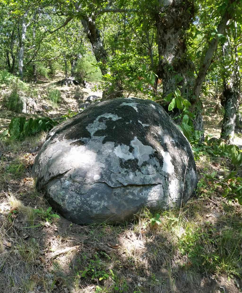 Come si � formato?